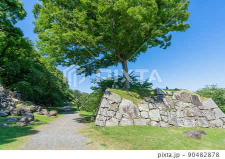 《佐賀県》名護屋城・名護屋城本丸跡_唐津市 《佐賀県》名護屋城・名護屋城本丸跡_唐津市 90482878
