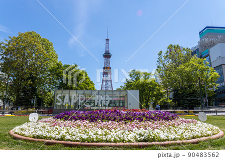 札幌 テレビ塔 さっぽろ大通公園 札幌 テレビ塔 さっぽろ大通公園 90483562