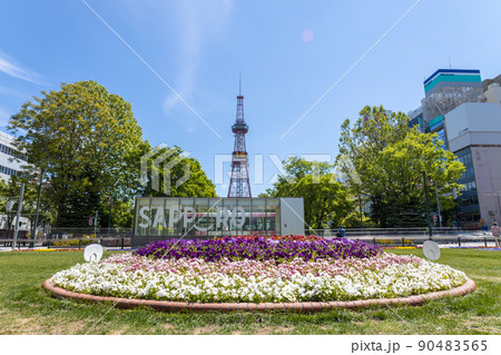 札幌　テレビ塔　さっぽろ大通公園 90483565