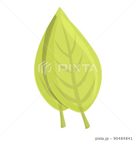 Tobacco green leaf icon cartoon vector. Smoke pack. Nicotine carton 90484841