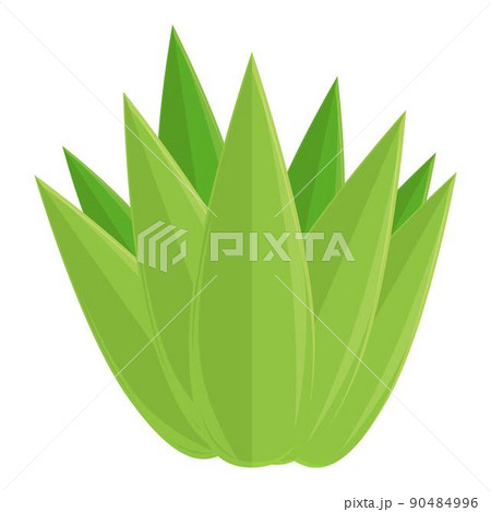 Tequila cactus icon cartoon vector. Glass shot. Mexican lime 90484996