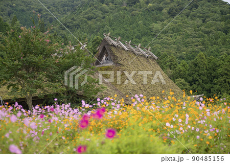 京都 秋の美山かやぶきの里 京都 秋の美山かやぶきの里 90485156