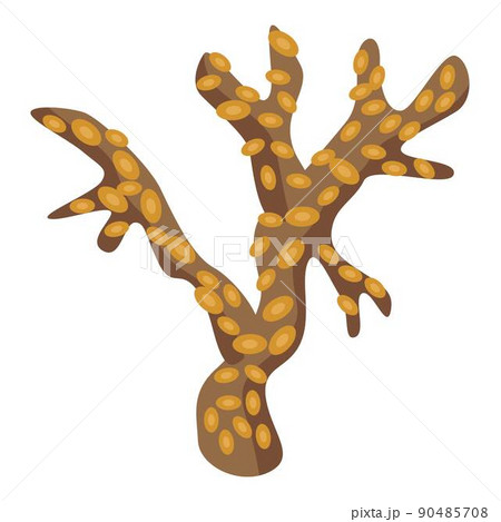 Brown gold coral icon, isometric style 90485708