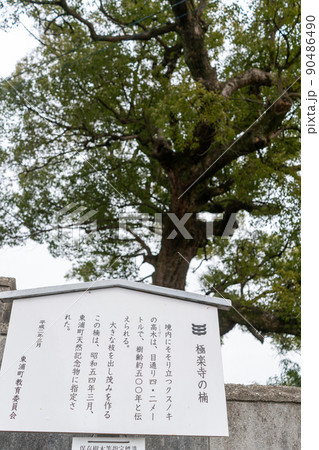 彼岸山 極楽寺 彼岸山 極楽寺 90486490