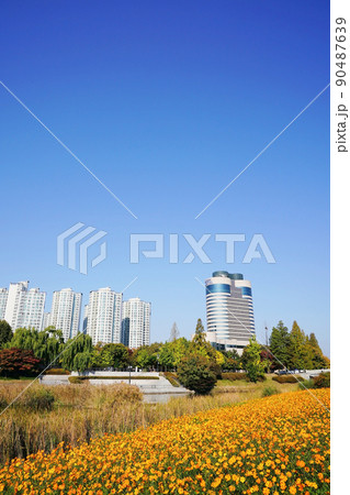 景色 公園 風景 90487639