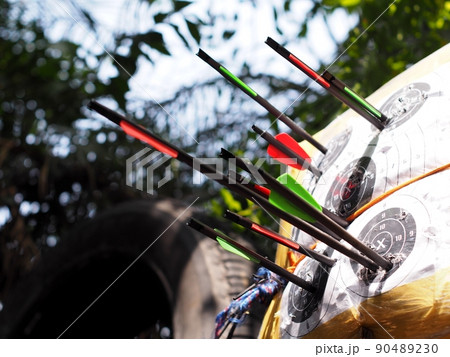 black glass carbon fibre archery crossbow bolts with red and green colour vanes on house-made practice target in private backyard garden outdoor with authentic summer plant blur in background black glass carbon fibre archery crossbow bolts with red and green colour vanes on house-made practice target in private backyard garden outdoor with authentic summer plant blur in background 90489230