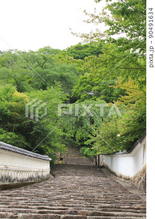 長谷寺　近鉄大阪線　長谷寺駅　境内　登廊　重要文化財　石畳　奈良県桜井市　あじさい　真言宗 90491634
