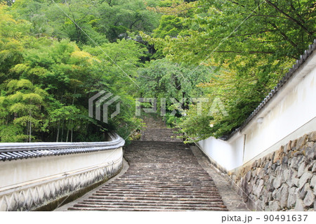長谷寺　近鉄大阪線　長谷寺駅　境内　登廊　重要文化財　石畳　奈良県桜井市　あじさい　真言宗 90491637