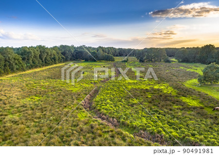 Aerial view of river valley scene in Drenthe 90491981