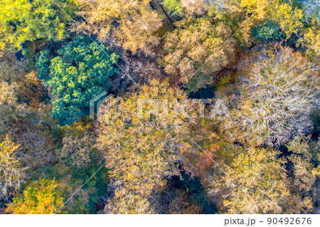 aerial view of autumn forest with colorful foliage 90492676