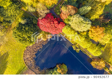 Aerial view of autumnal park 90492677