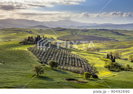 Tuscan countryside San Quirico farm Tuscan countryside San Quirico farm 90492690
