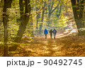 People on Walkway in hazy autumn forest 90492745