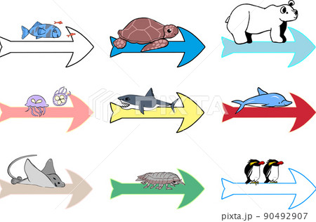 動物と矢印のセット水族館の人気者たち01/シロクマ/ウミガメ/ペンギン/イルカ/クラゲなど 動物と矢印のセット水族館の人気者たち01/シロクマ/ウミガメ/ペンギン/イルカ/クラゲなど 90492907