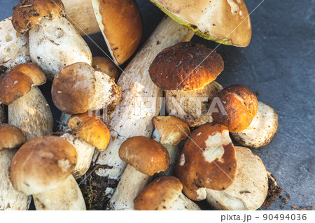 Autumn fall composition. Raw edible mushrooms Penny Bun on dark black stone shale background. Ceps over gray table. Cooking delicious organic mushroom gourmet food. Flat lay top view 90494036