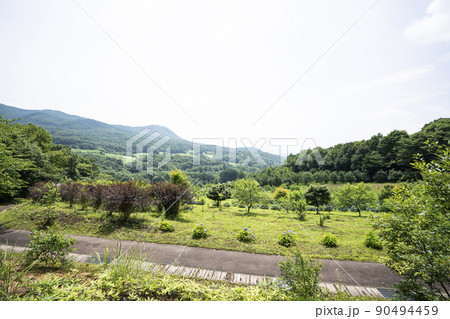 山にある公園 90494459