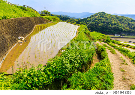 土谷棚田の水張風景　【長崎県松浦市】 90494809
