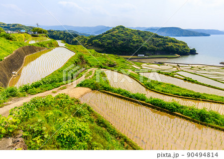 土谷棚田の水張風景 【長崎県松浦市】 土谷棚田の水張風景 【長崎県松浦市】 90494814