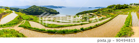 土谷棚田の水張風景 パノラマ 【長崎県松浦市】 土谷棚田の水張風景 パノラマ 【長崎県松浦市】 90494815