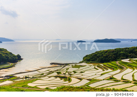 土谷棚田の水張風景 【長崎県松浦市】 土谷棚田の水張風景 【長崎県松浦市】 90494840