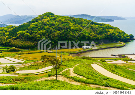 土谷棚田の水張風景 【長崎県松浦市】 土谷棚田の水張風景 【長崎県松浦市】 90494842