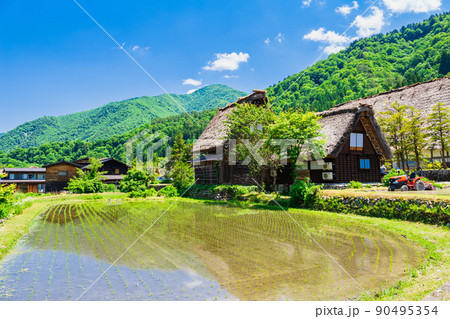 日本の原風景 世界遺産 白川郷の写真素材 [90495354] - PIXTA