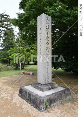 徳川家康最後陣地跡 90495920