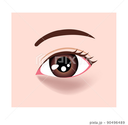 目のくま（眼のクマ) の種類 ベクターイラスト / 茶グマ 90496489