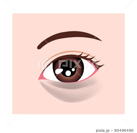 目のくま（眼のクマ) の種類 ベクターイラスト / 黒グマ 90496490
