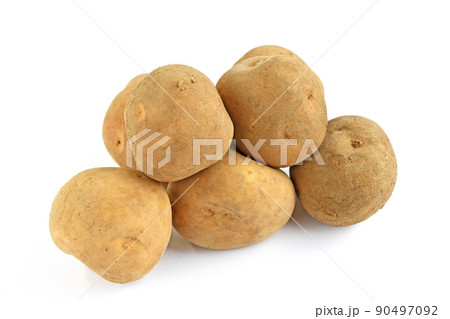 じゃがいも(キタカムイ) じゃがいも(キタカムイ) 90497092