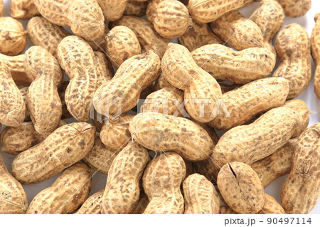 ピーナッツ  落花生 90497114