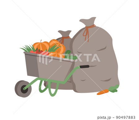Wheelbarrow with Bags and Production Pumpkins 90497883