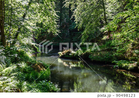 Kamenice river in the Bohemian Switzerland National Park, Czech Republic 90498123