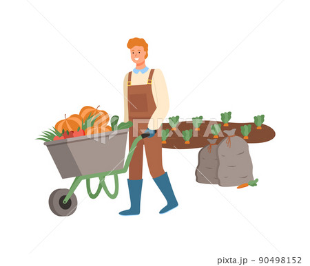 Farmer Harvesting on Field Pumpkins in Cart Vector 90498152