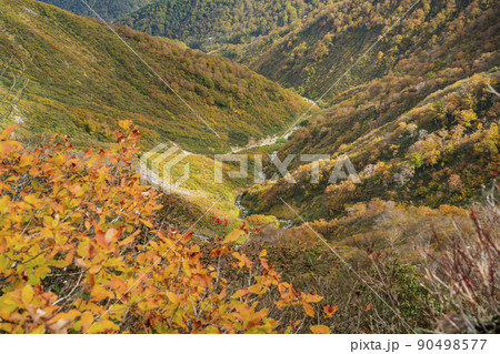 秋の谷川岳 西黒沢の紅葉【群馬県・利根郡・みなかみ町】 秋の谷川岳 西黒沢の紅葉【群馬県・利根郡・みなかみ町】 90498577