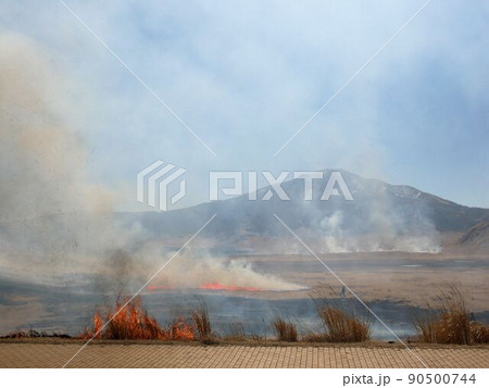 春の阿蘇山 草千里ヶ浜の野焼き (熊本県) 春の阿蘇山 草千里ヶ浜の野焼き (熊本県) 90500744