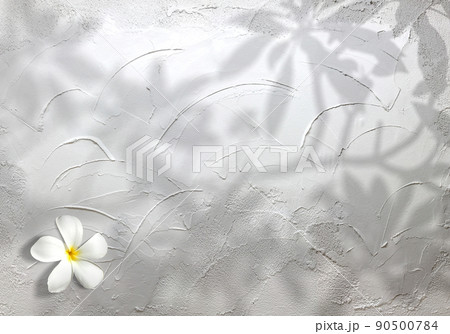 コテ塗りの白い壁を背景に描く、白いプルメリアの花と葉のシルエット コテ塗りの白い壁を背景に描く、白いプルメリアの花と葉のシルエット 90500784