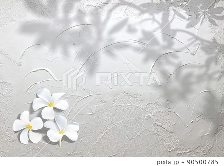 コテ塗りの白い壁を背景に描く、白いプルメリアの花と葉のシルエット 90500785