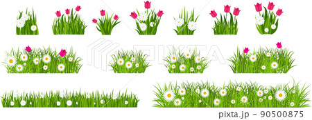 Grass, tulips and daises set. Green flowering meadow collection. 90500875