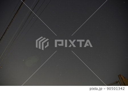 星 90501342