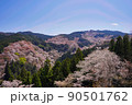 【日本・奈良】吉野山の千本桜 90501762