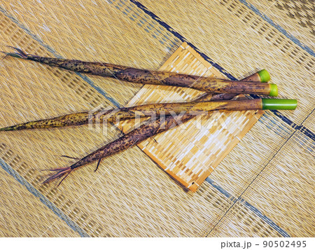 初夏に摘み取った細長い山菜ハチク 初夏に摘み取った細長い山菜ハチク 90502495