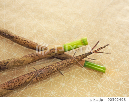 初夏に自生した細長い山菜ハチク 初夏に自生した細長い山菜ハチク 90502498