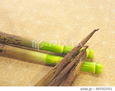 初夏に自生する山菜細長いハチク 初夏に自生する山菜細長いハチク 90502501