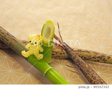 カットしたハチクと黄色のビーズテディベア カットしたハチクと黄色のビーズテディベア 90502502