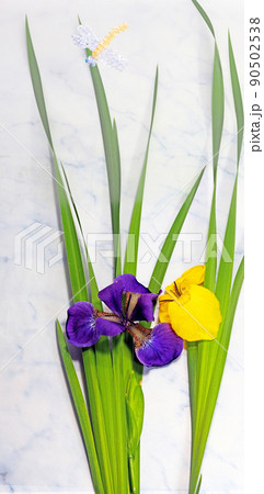 初夏に咲く菖蒲の花とビーズのトンボ 90502538