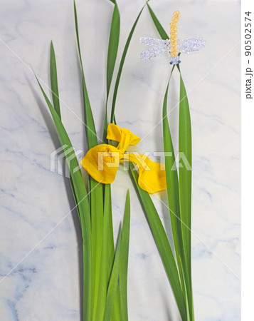 初夏に咲くアヤメ科の花キショウブとビーズのトンボ 初夏に咲くアヤメ科の花キショウブとビーズのトンボ 90502574