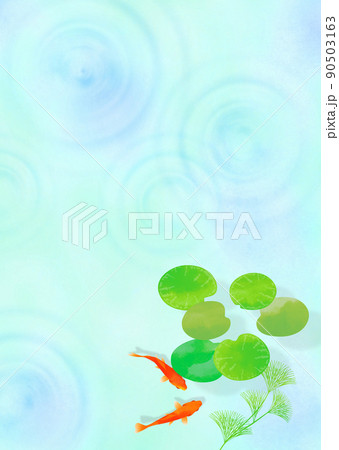 金魚と水面の波紋 雨 和風 夏イメージ 90503163