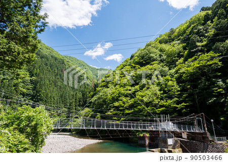 【国道157号】根尾西谷川と取水ダム 【国道157号】根尾西谷川と取水ダム 90503466
