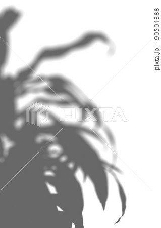 観葉植物のシルエット、インテリアのイメージ 90504388